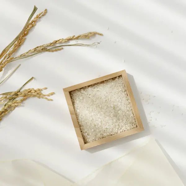 Sérum illuminateur RICE + ALPHA ARBUTIN beauty of joseon Karenation